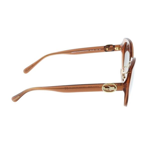 Coach 0HC8331 Geometric Full Rim Sunglasses - Picture 4 of 4